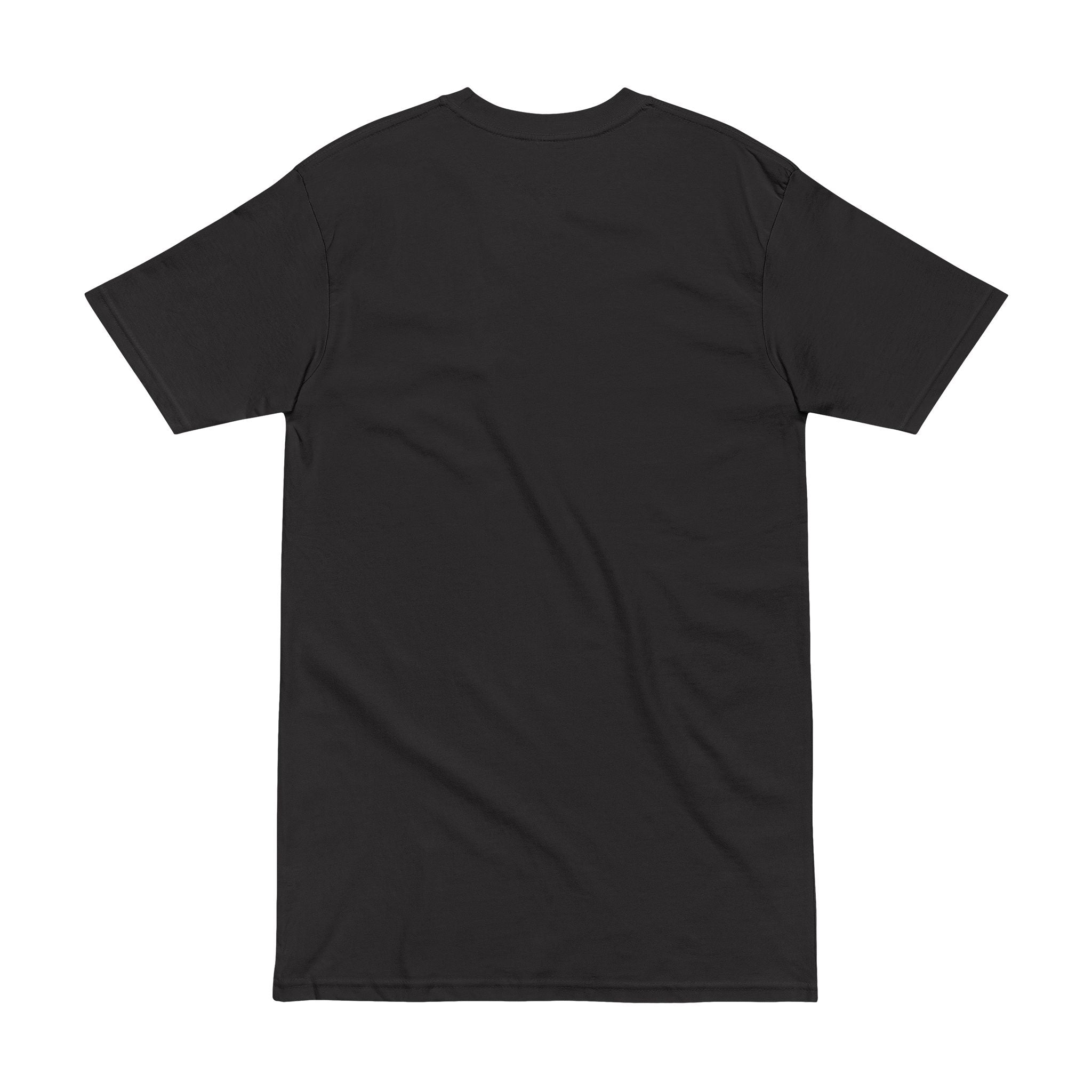 Alien Pharaoh T-Shirt – Ancient Egypt UFO Graphic Tee – “Before Pharaohs There Were Visitors” Printify