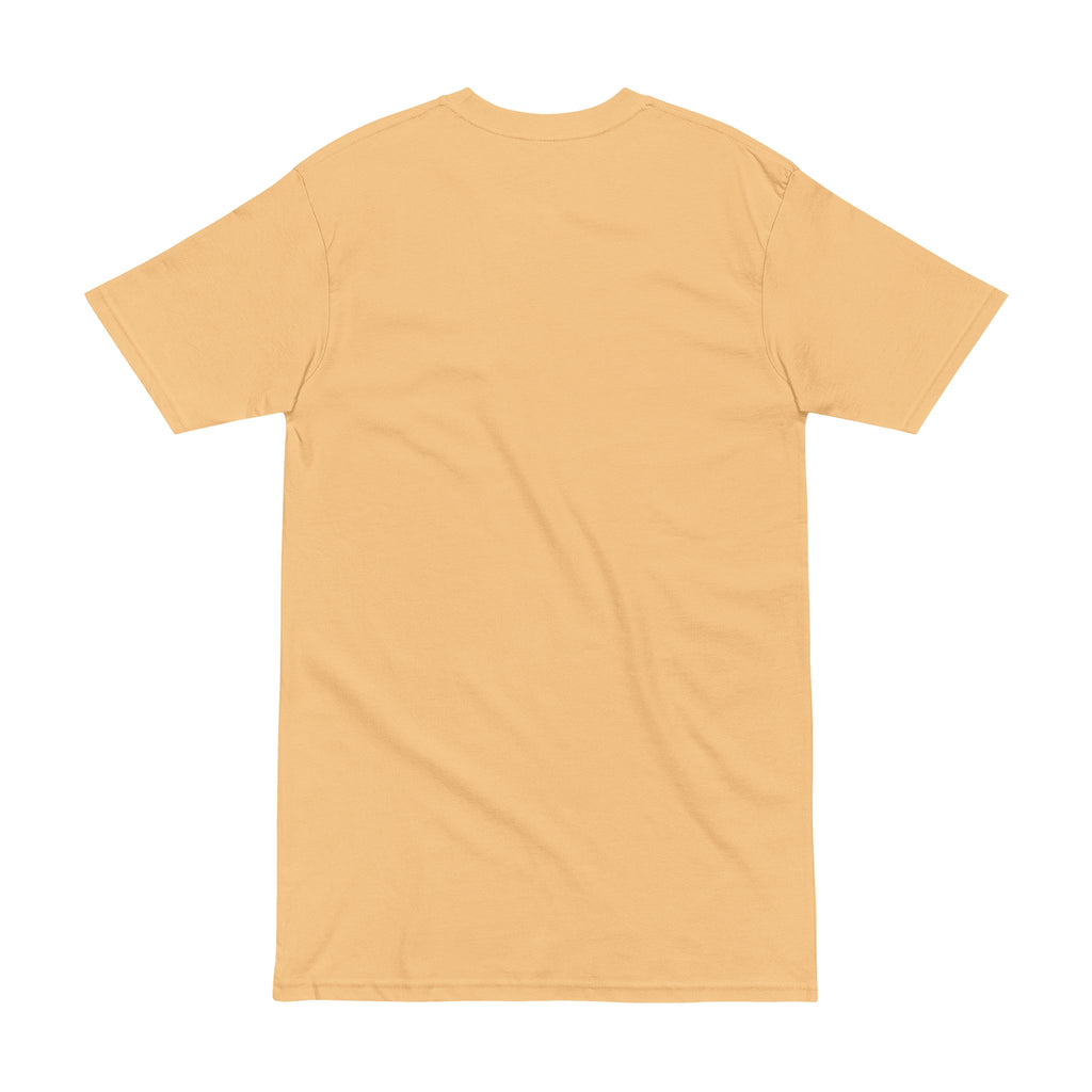 Alien Pharaoh T-Shirt – Ancient Egypt UFO Graphic Tee – “Before Pharaohs There Were Visitors” Printify