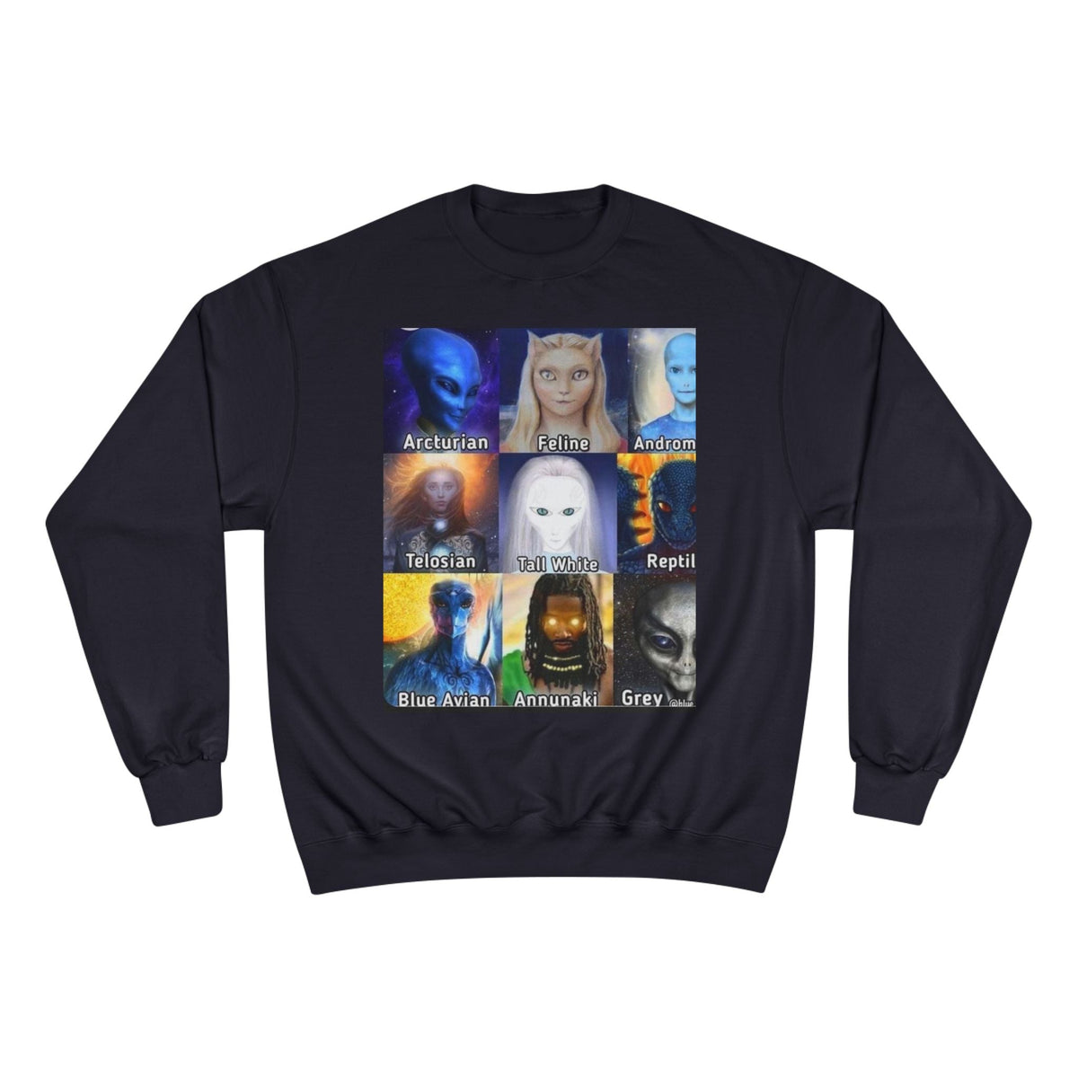 Alien Species Champion Sweatshirt - Unisex UFO Graphic Apparel Printify