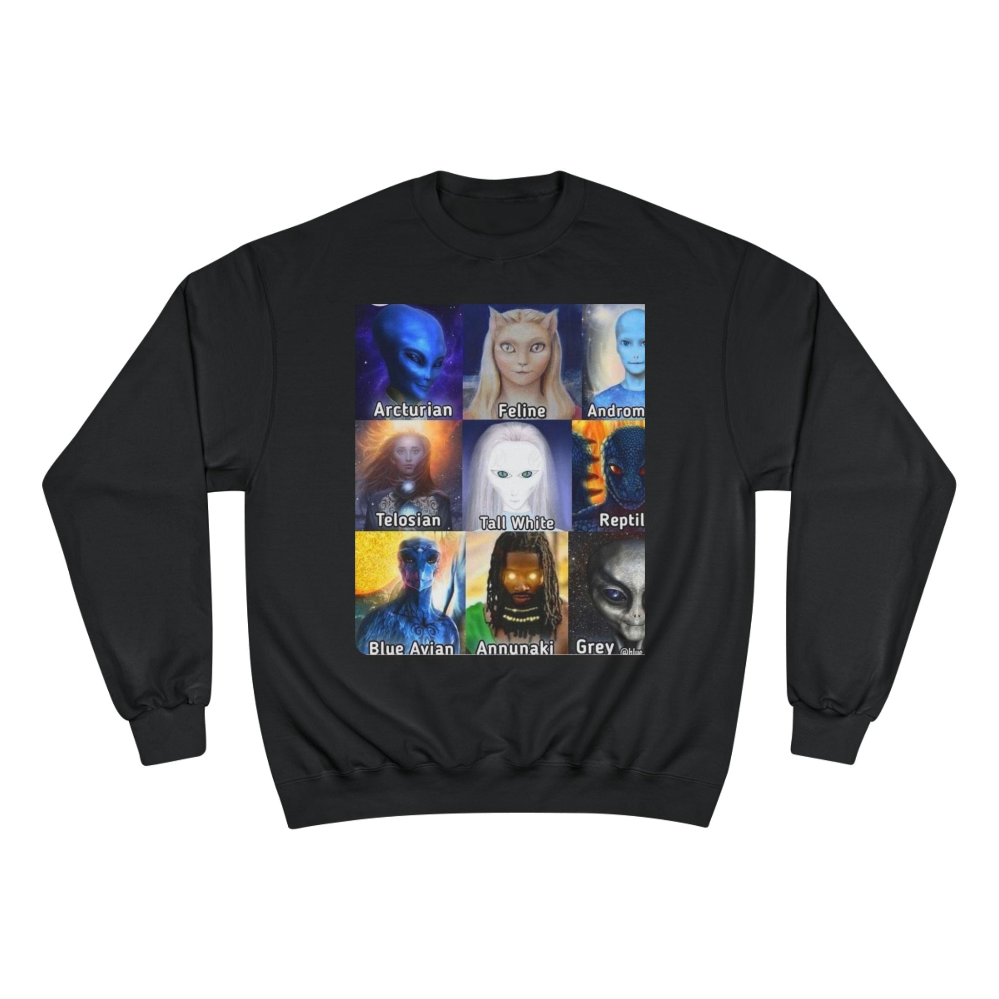 Alien Species Champion Sweatshirt - Unisex UFO Graphic Apparel