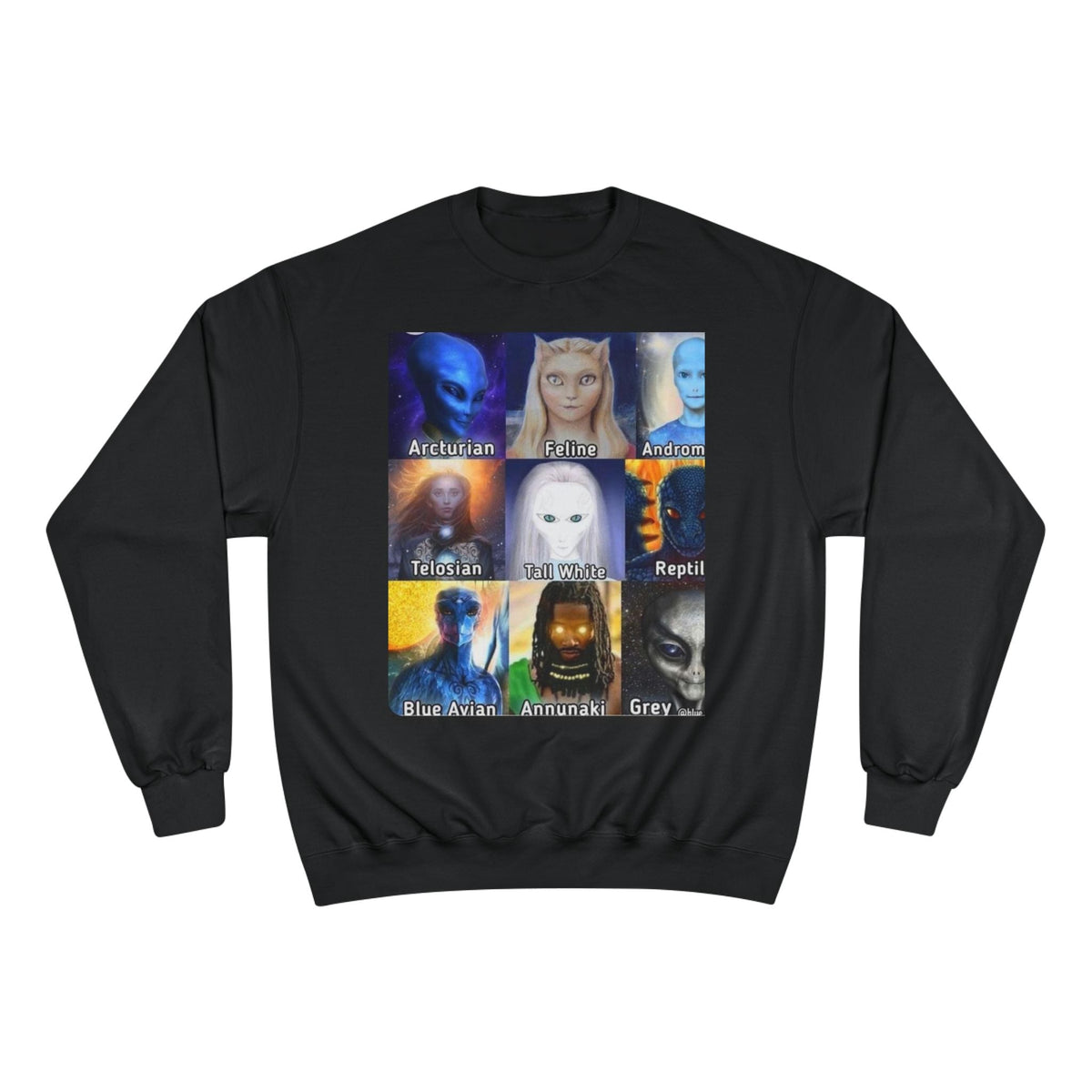 Alien Species Champion Sweatshirt - Unisex UFO Graphic Apparel Printify