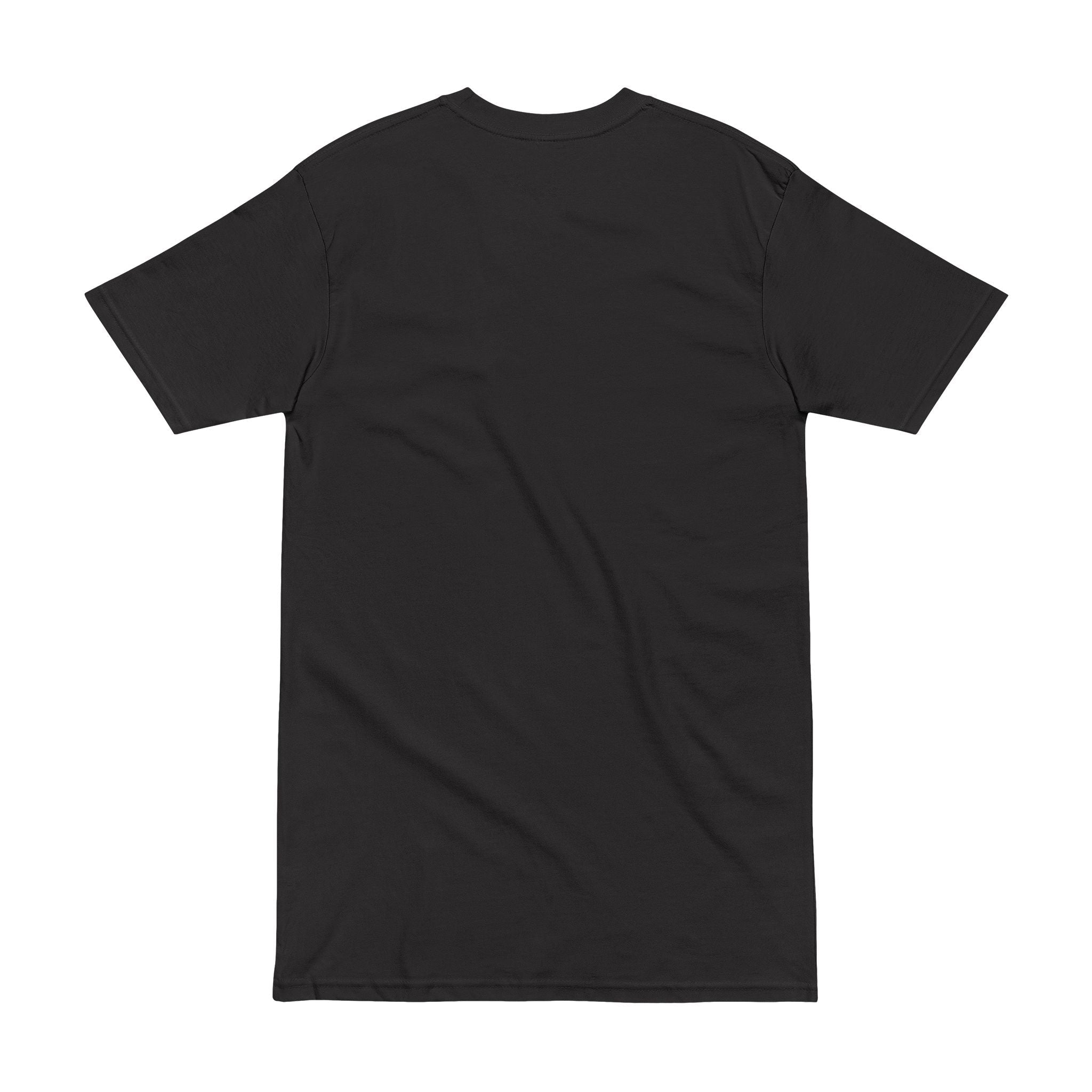 Alien Pharaoh T-Shirt – Ancient Egypt UFO Graphic Tee – “Before Pharaohs There Were Visitors” Printify