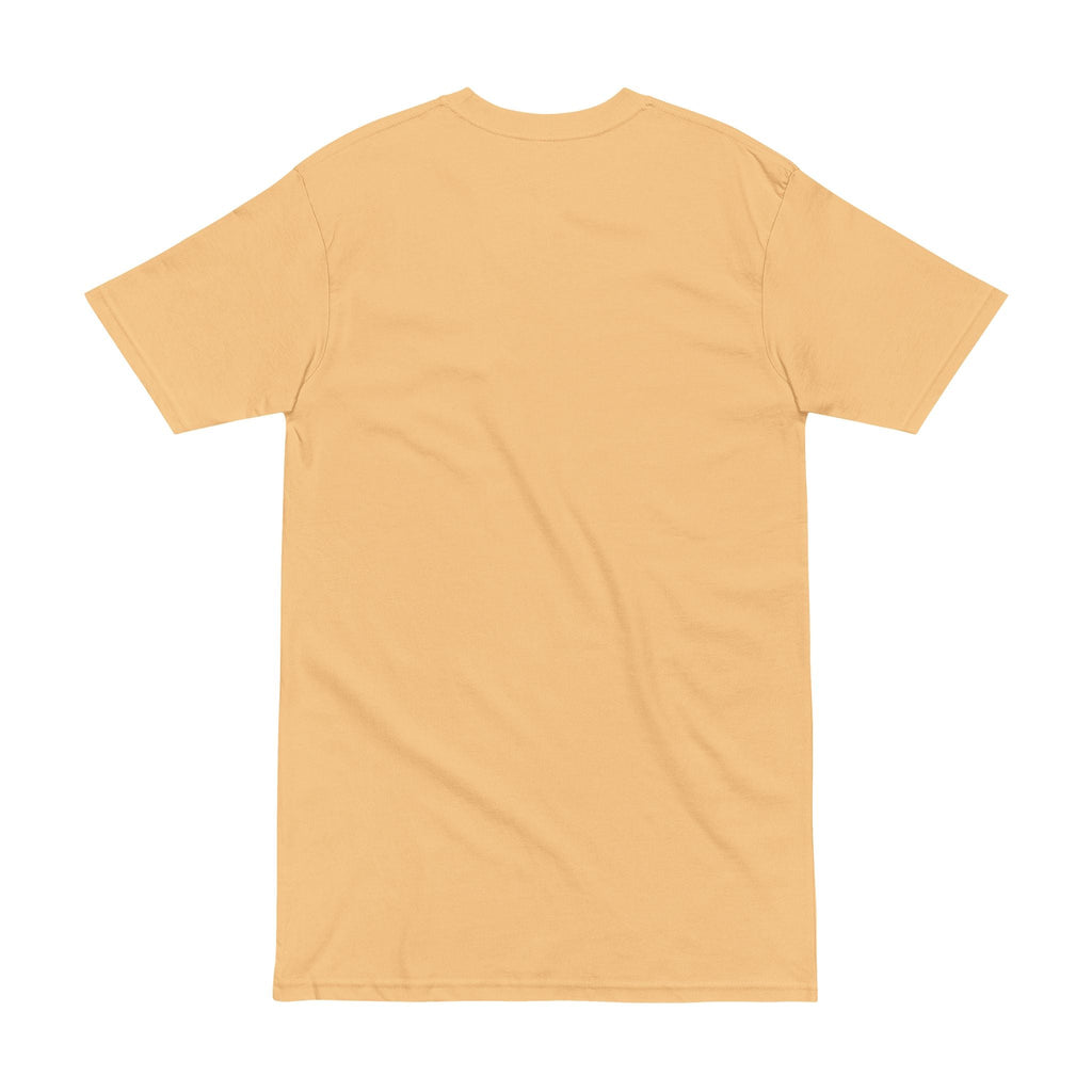 Alien Pharaoh T-Shirt – Ancient Egypt UFO Graphic Tee – “Before Pharaohs There Were Visitors” Printify
