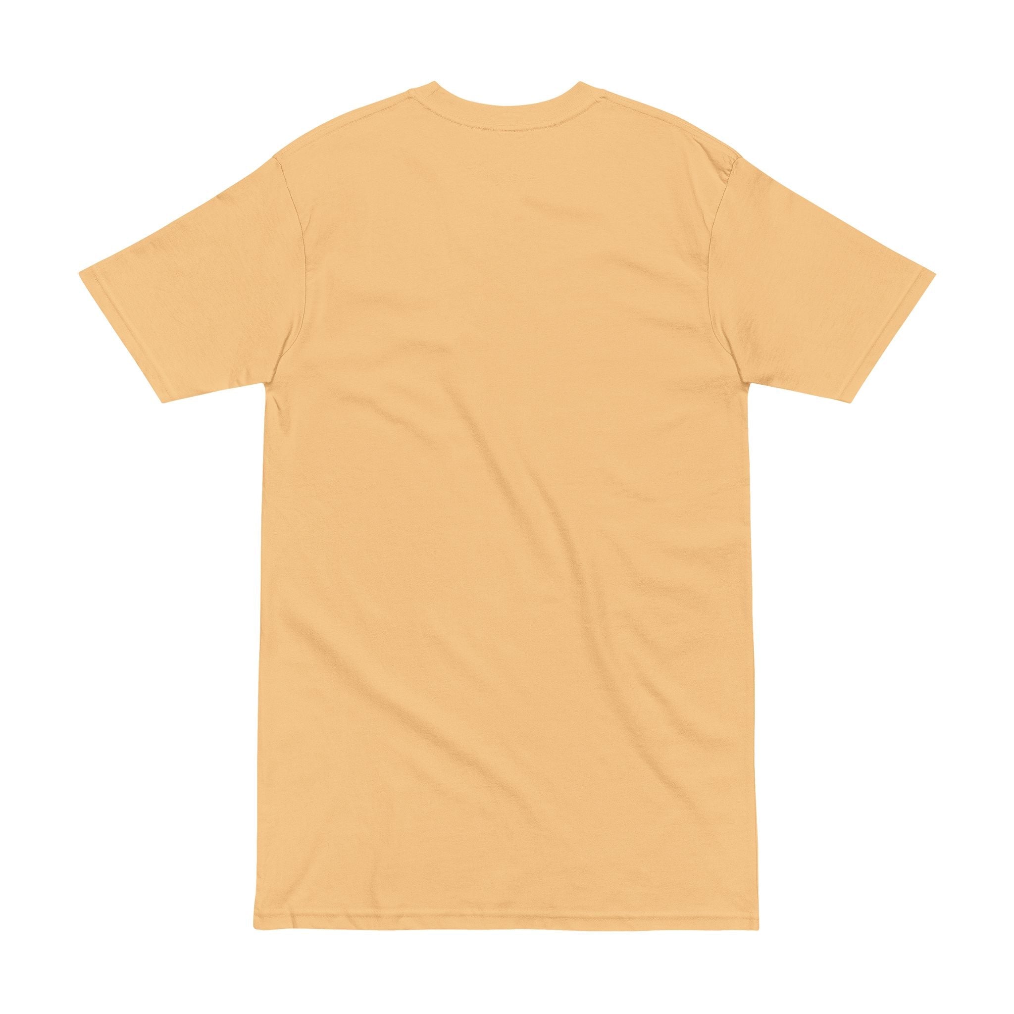 Alien Pharaoh T-Shirt – Ancient Egypt UFO Graphic Tee – “Before Pharaohs There Were Visitors” Printify