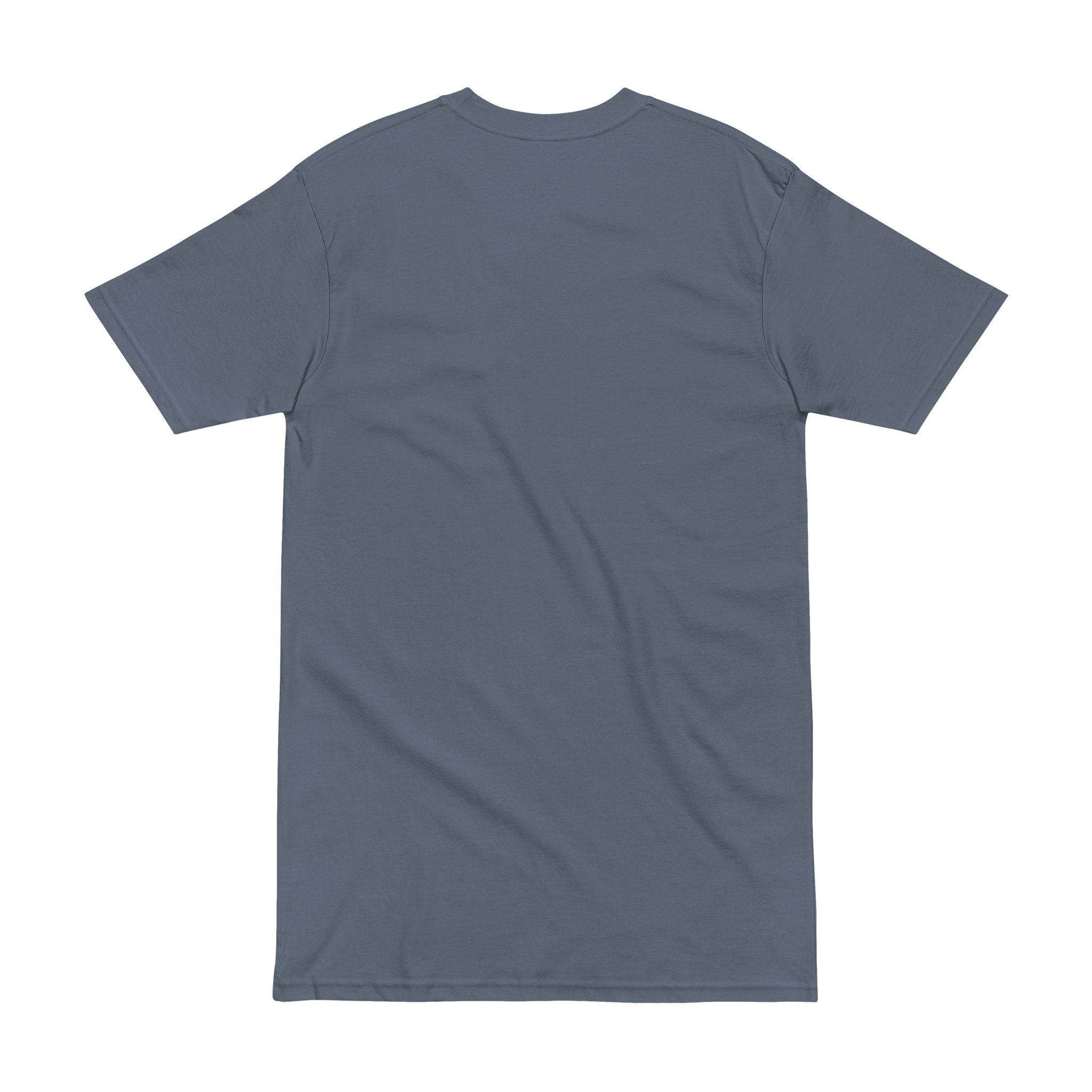 Alien Pharaoh T-Shirt – Ancient Egypt UFO Graphic Tee – “Before Pharaohs There Were Visitors” Printify