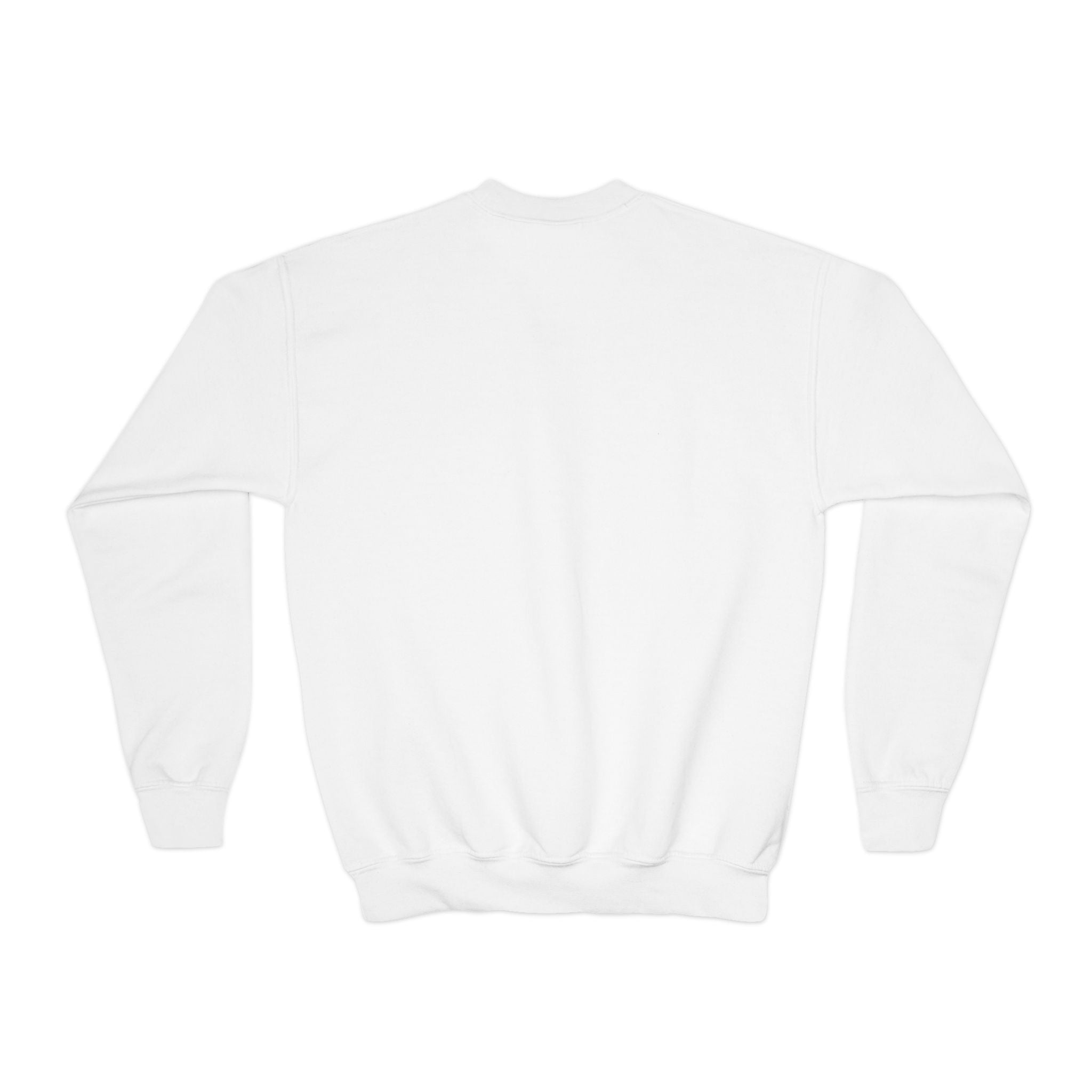 Colorful Graphic Youth Crewneck Sweatshirt, Fun Sweatshirt for Kids, Perfect Gift for Birthdays, Halloween, or Everyday Wear Printify