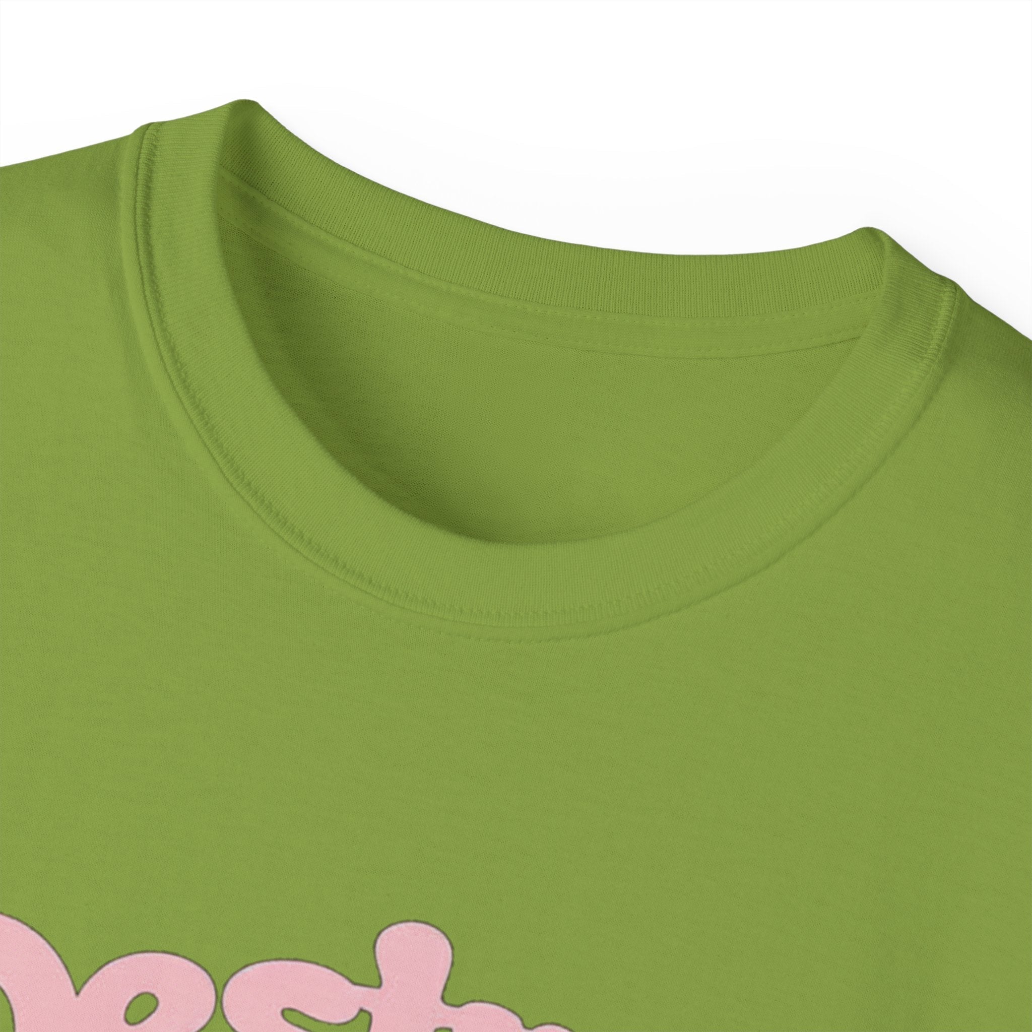 Destroy the Patriarchy Not the Earth T-Shirt — Eco‑Feminist Activist Tee Printify