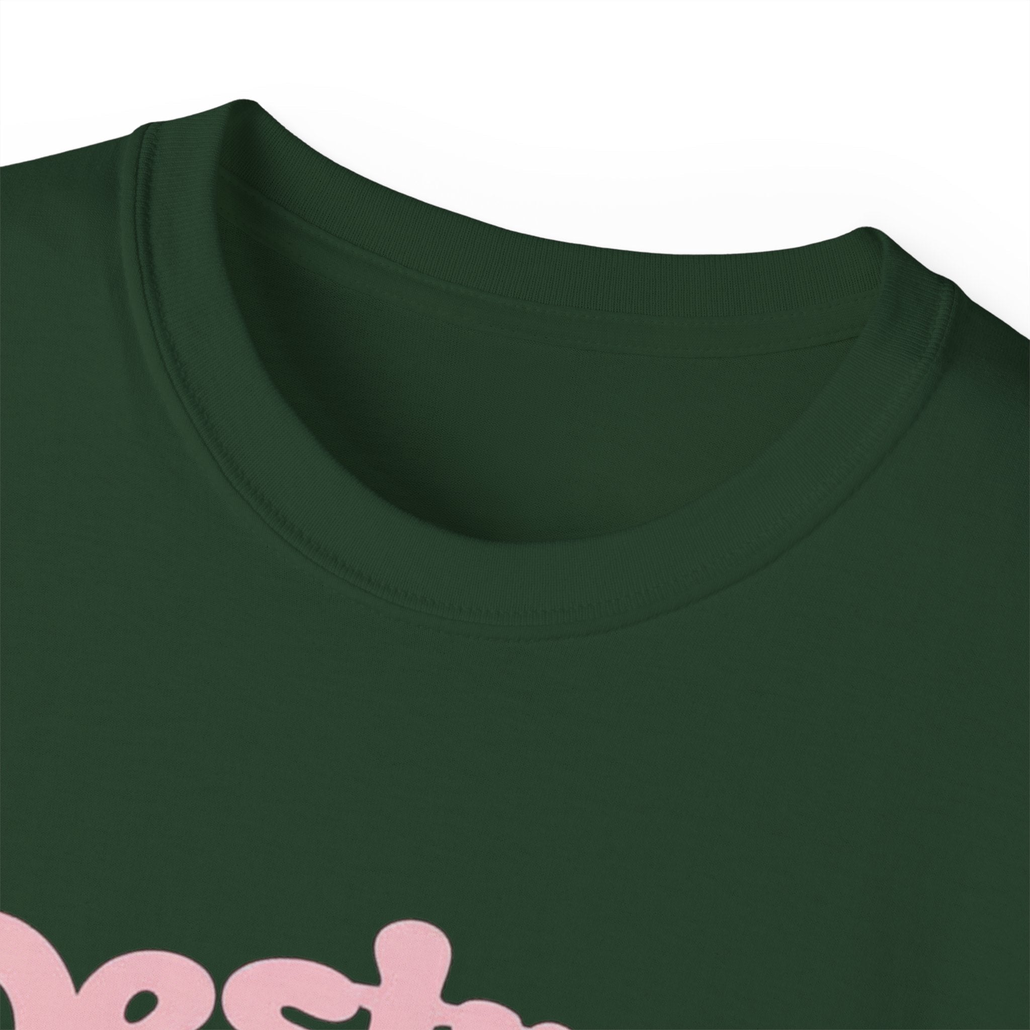 Destroy the Patriarchy Not the Earth T-Shirt — Eco‑Feminist Activist Tee Printify