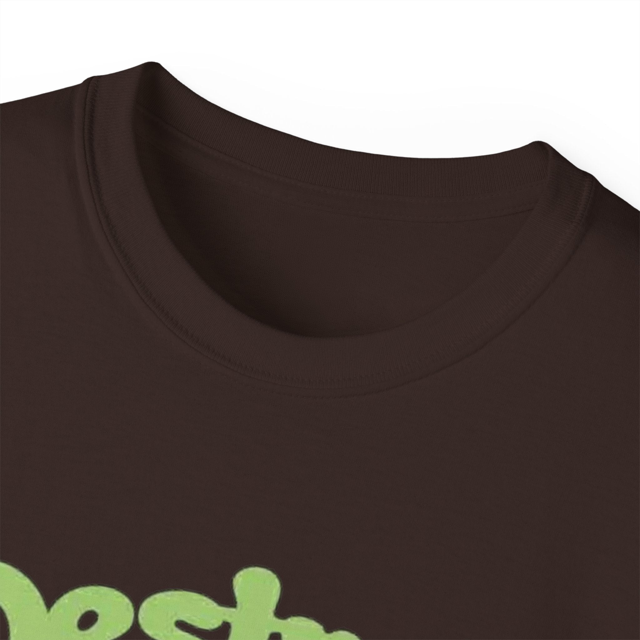 Destroy the Patriarchy Not the Earth Tee — Eco Feminist Slogan T‑Shirt ⚡️ Printify