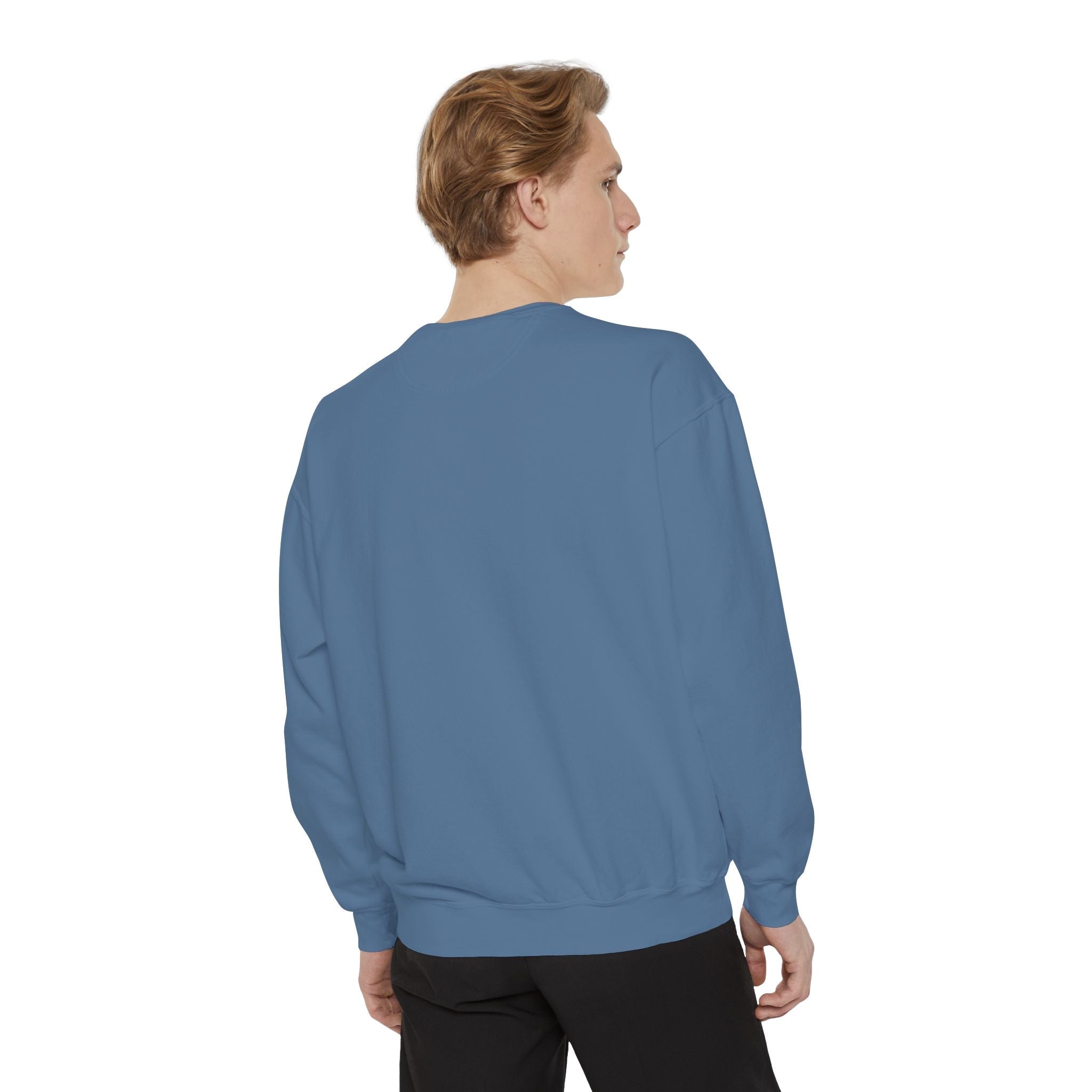 Egyptian cats Sweatshirt Printify