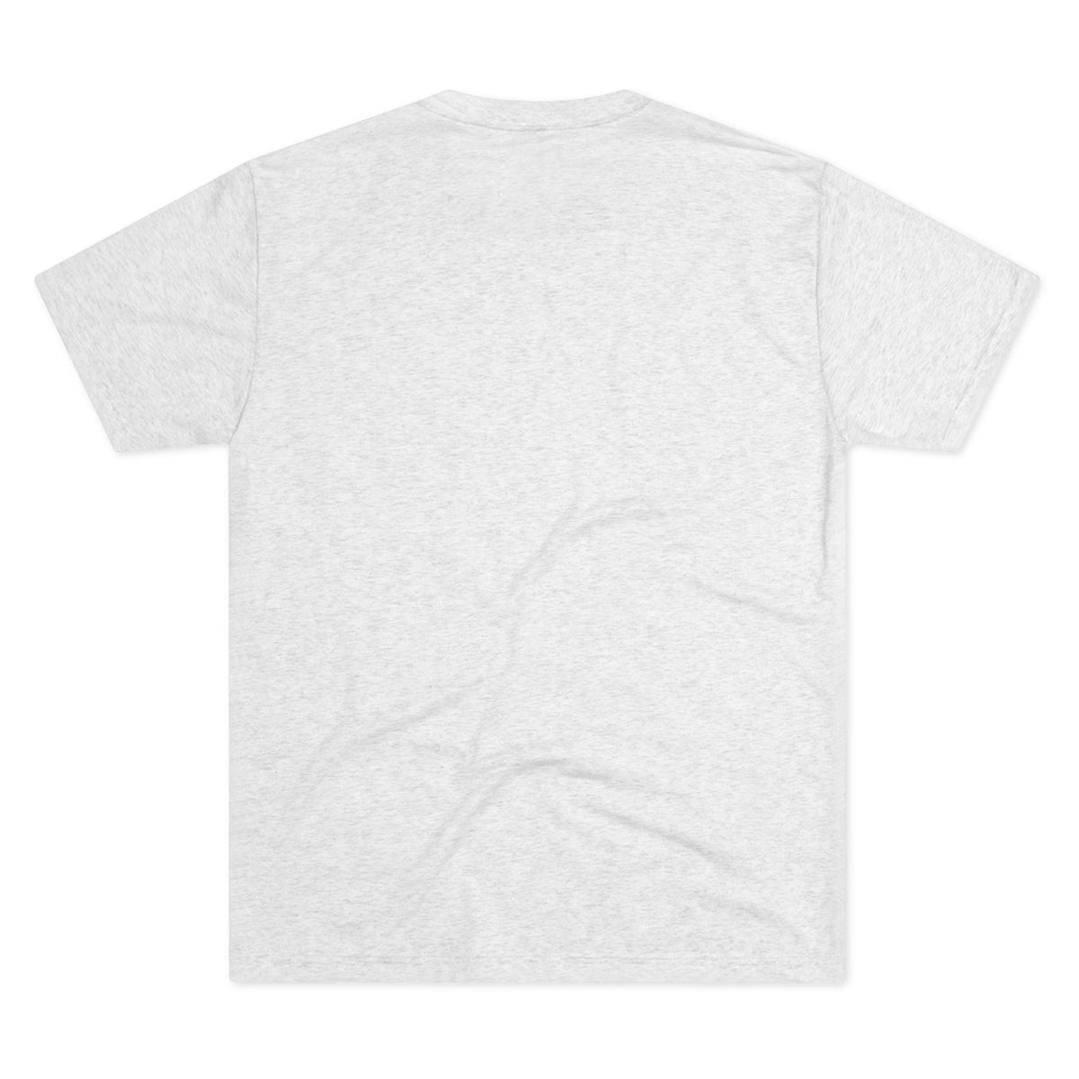 Lion Scholar Tee - Afrocentric Warrior King Graphic T-Shirt