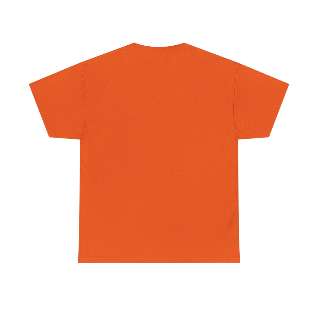 Spooky St. Louis Nights Raccoon Tee – Halloween Streetwear