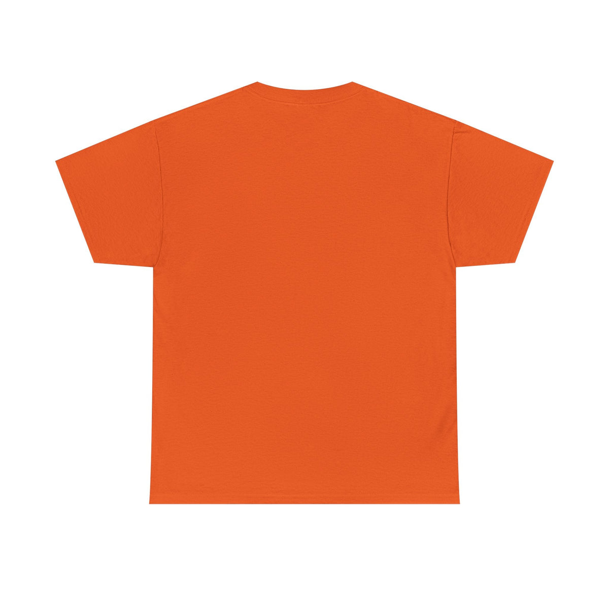 Spooky St. Louis Nights Raccoon Tee – Halloween Streetwear