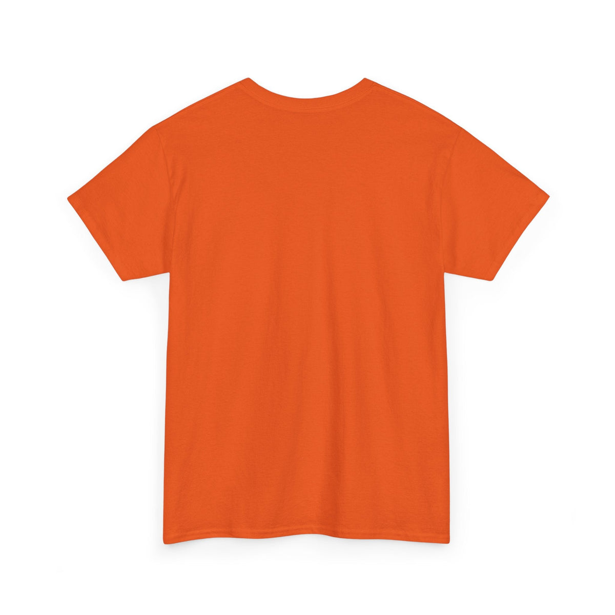 Spooky St. Louis Nights Raccoon Tee – Halloween Streetwear