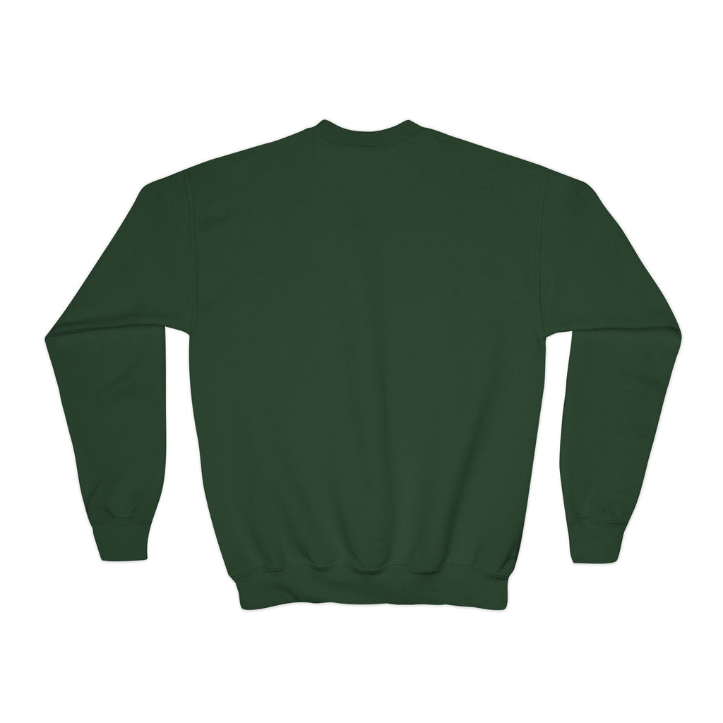 Youth Crewneck Sweatshirt Printify