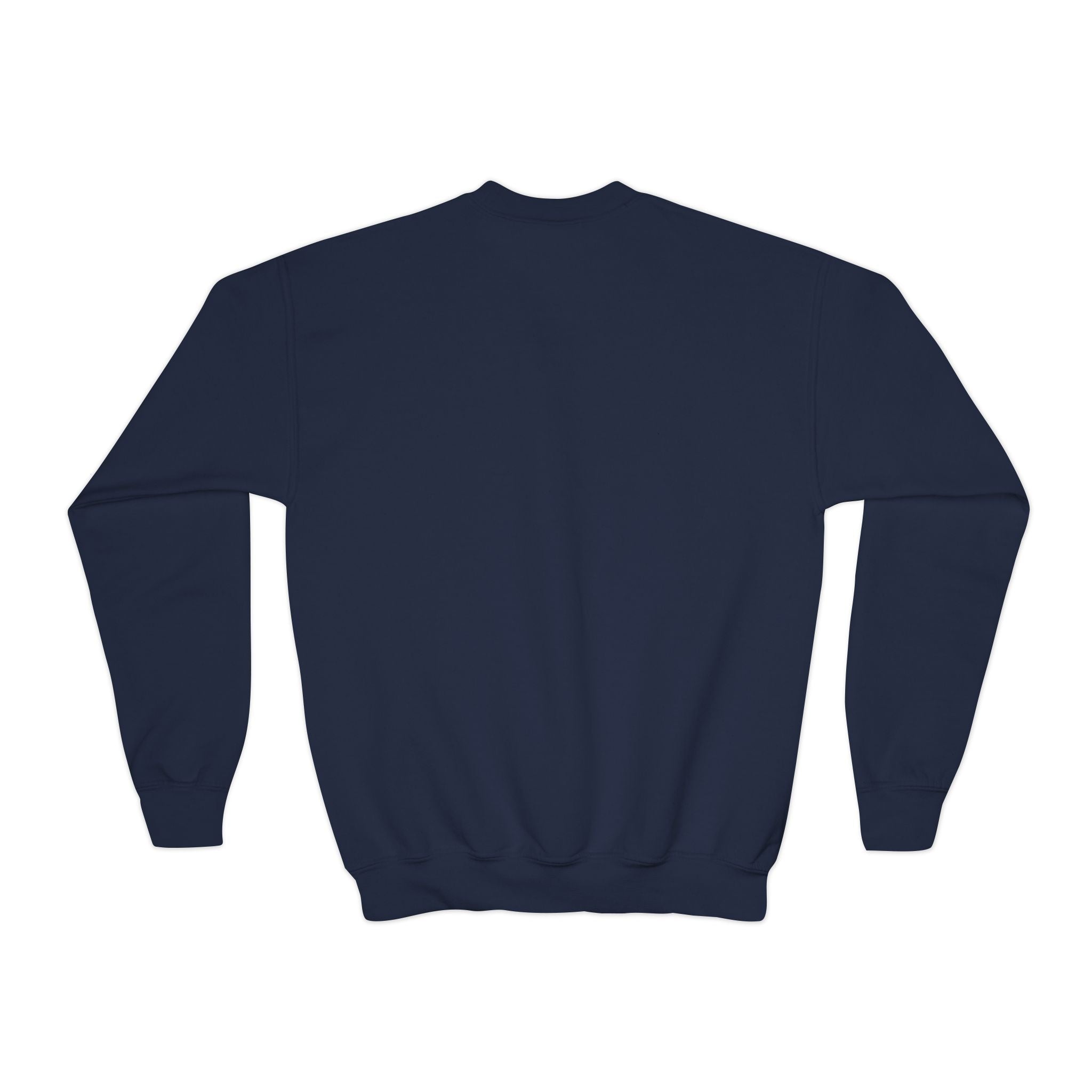 Youth Crewneck Sweatshirt Printify